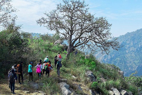 Camping in Rishikesh